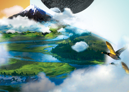 软件授权平台的轰炸免费网页